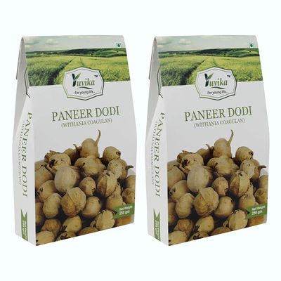 Yuvika Paneer Dodi - Paneer Ke Phool - Withania Coagulan 250 Grams Pack of 2 Boxes