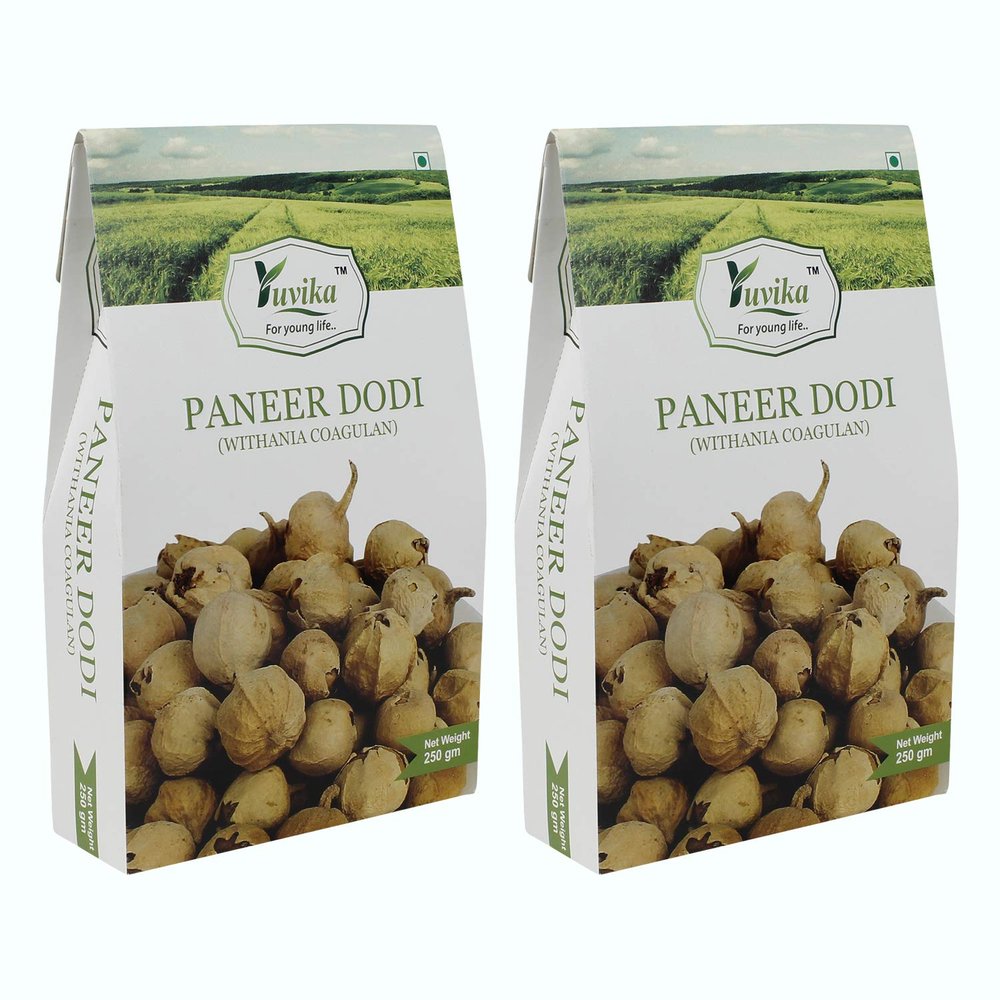 Yuvika Paneer Dodi - Paneer Ke Phool - Withania Coagulan 250 Grams Pack of 2 Boxes