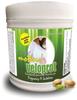 Develo Pregnancy & Lactation Protein Powder, Supplement for Pregnant Women & Lactating/Breastfeeding Mothers -500 g (Elaichi Pista) view 1