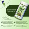 IYUSH Herbal Ayurveda Shankhpushpi Powder (Pack of 2)| Memory Increase Shankhpushpi Powder- 100gm each view 2