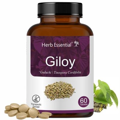 Herb Essential Giloy 500mg Tablet 60 | 100% Pure Giloy Extract | Immunity Booster