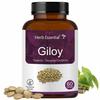 Herb Essential Giloy 500mg Tablet 60 | 100% Pure Giloy Extract | Immunity Booster view 1