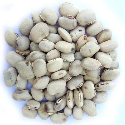 Aapkidukan White kaunch Seed - 100 Gm Mucuna pruriens
