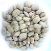 Aapkidukan White kaunch Seed - 100 Gm Mucuna pruriens view 1