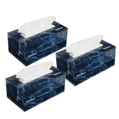 Freshee 100 Pulls 2 Ply Signature Car Facial Tissue Paper Box Pack Of 3, Bacteria Resistant, Hygienic Fresh Skin Friendly Water Dissolvable Disposable Dry Tissue Made With 100% Virgin Fibre