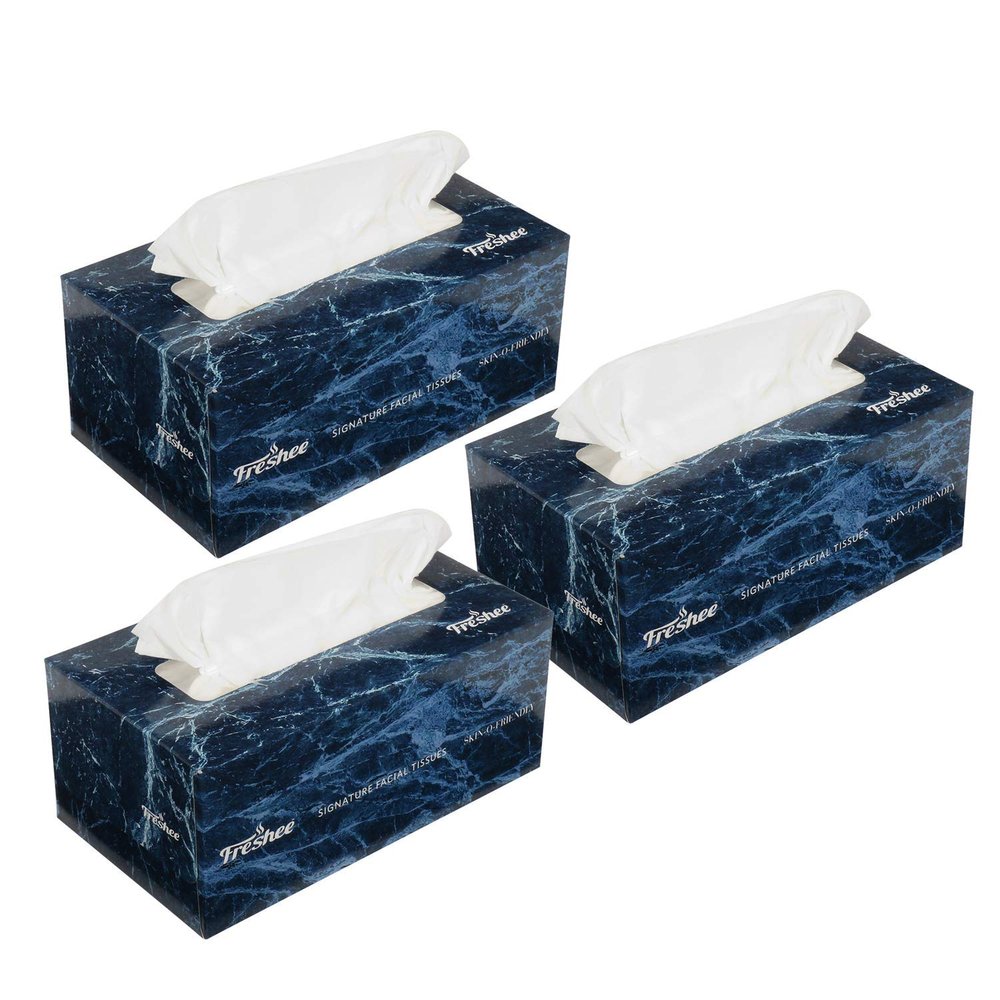 Freshee 100 Pulls 2 Ply Signature Car Facial Tissue Paper Box Pack Of 3, Bacteria Resistant, Hygienic Fresh Skin Friendly Water Dissolvable Disposable Dry Tissue Made With 100% Virgin Fibre