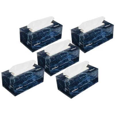 Freshee 100 Pulls 2 Ply Signature Car Facial Tissue Paper Box Pack Of 5, Bacteria Resistant, Hygienic Fresh Skin Friendly Water Dissolvable Disposable Dry Tissue Made With 100% Virgin Fibre