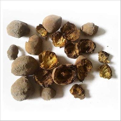 Aapkidukan Baheda Whole - 100 Gm Terminalia belerica Bibhitaka