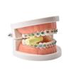 Aligner Chewies for Invisalign Trays Aligner Trays Seater Chewies for Invisalign Aligners for Orthodontic(3 Pcs/Box) (Green) view 3