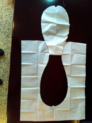 Ever Fresh Flushable & Biodegradable Paper Toilet Seat Covers Pack of 3 * 10 = 30 Sheets FrshEver for Men and Women