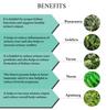 Bixa Botanical Renabix Capsules, Punarnava Extract Medicine for Urinary Problems | Kidney Health Capsules- 60 Veg Capsules (450mg) view 4