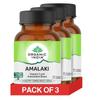 ORGANIC INDIA Amalaki 60 Veg Capsules (Pack of 3) view 1