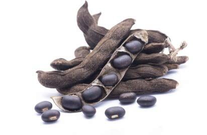 Divesh Store Black Kaunch - 100 Grm - Black Mucuna Pruriens - Black Kapikachhu - Cowitch seed - Kaunch Beej Kala - Black Seed - Cowhage - krinch beej - Kanch seed -