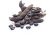 Divesh Store Black Kaunch - 100 Grm - Black Mucuna Pruriens - Black Kapikachhu - Cowitch seed - Kaunch Beej Kala - Black Seed - Cowhage - krinch beej - Kanch seed -   view 1