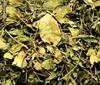 Divesh Store Gudmar - 200Grm - Gymncma Sylvestra - Meshashringi - Vishani - Madhunashini - Gurmar - Merasingi Dried Leaves - Gur Mar - Gud Mar -    view 1