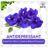 BLUE TEA - Butterfly Pea Flower Lavender 30 Tea Bags - Plant Based | CALMING TEA | Aparajita - Shankhpushpi | Caffeine Free - Detox Tea - Flower Based - Herbal Tea - Non-GMO | Premium Tin Pack view 4