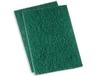 dannu Scrub pad Large Set of 2 view 1