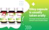 Streamline Giloy Capsule 30 veg 500mg view 3
