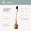 Wild & Stone Adult|Firm Bristle Organic Bamboo Manual Toothbrush|Four Handle Patterns|Firm Fibre Bristles|100% Biodegradable Handle|Vegan Eco Friendly Bamboo Toothbrushes,Beige view 3