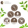 CARMEL ORGANICS Tulsi Leaves Powder (340 Grams)| Jaivik Bharat Certified | Holy Basil Powder For Health, Skin & Hair| Non GMO | No Added Preservative | Thulasi Podi/Tulasi Podi/Tulasi Hudi view 4
