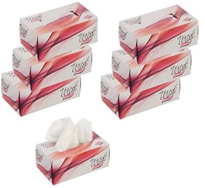 MDN Mist Ultra Soft White 2 Ply Facial Tissue Paper Napkin for Home Office Disposable Facial Tissues (100 Pulls Each, Pack of 6)