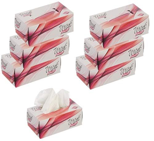 MDN Mist Ultra Soft White 2 Ply Facial Tissue Paper Napkin for Home Office Disposable Facial Tissues (100 Pulls Each, Pack of 6)