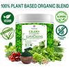The Yogi Celery Juice Powder with Supergreens & Daily Superfoods Immunity Booster - 250gms Antioxidant and Detox Drink with (Organic Wheat Grass, Alfalfa, Barley Grass, Spinach, Spirulina, Moringa, Chlorella and Ashwagandha) view 2