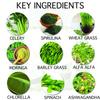 The Yogi Celery Juice Powder with Supergreens & Daily Superfoods Immunity Booster - 250gms Antioxidant and Detox Drink with (Organic Wheat Grass, Alfalfa, Barley Grass, Spinach, Spirulina, Moringa, Chlorella and Ashwagandha) view 4