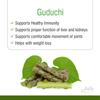 Jain Pure Guduchi/Giloy Powder - 800gms view 3