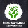 Adani Spices| Gunda | Gum berry Pickles -400gm Glass Bottle Pack Authentic Guajarati Taste view 3