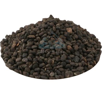 Sky Life Babchi - 200Grm - Bavanchi - Psoralea Corylifolia - Bakuchi Seed - Lalakasturi - Sugandha - kantak - Habuch - Bavachi