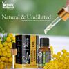 Holy Natural Helichrysum Essential Oil - 15 ML view 3