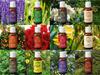 Exotic Aromas Essential Oil Lavender Rose Tea Tree Vanilla Frankincense Rosemary Jasmine Ylang Ylang Peppermint Mandarin Lemongras Lemon Pack of 12 view 3