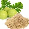 Saara HERBAL FRESH Amla Powder,100g, Nellikai, Amalaki, Indian Gooseberry Powder, 100g view 2