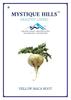 Mystique Whole Yellow maca root 100 g view 1