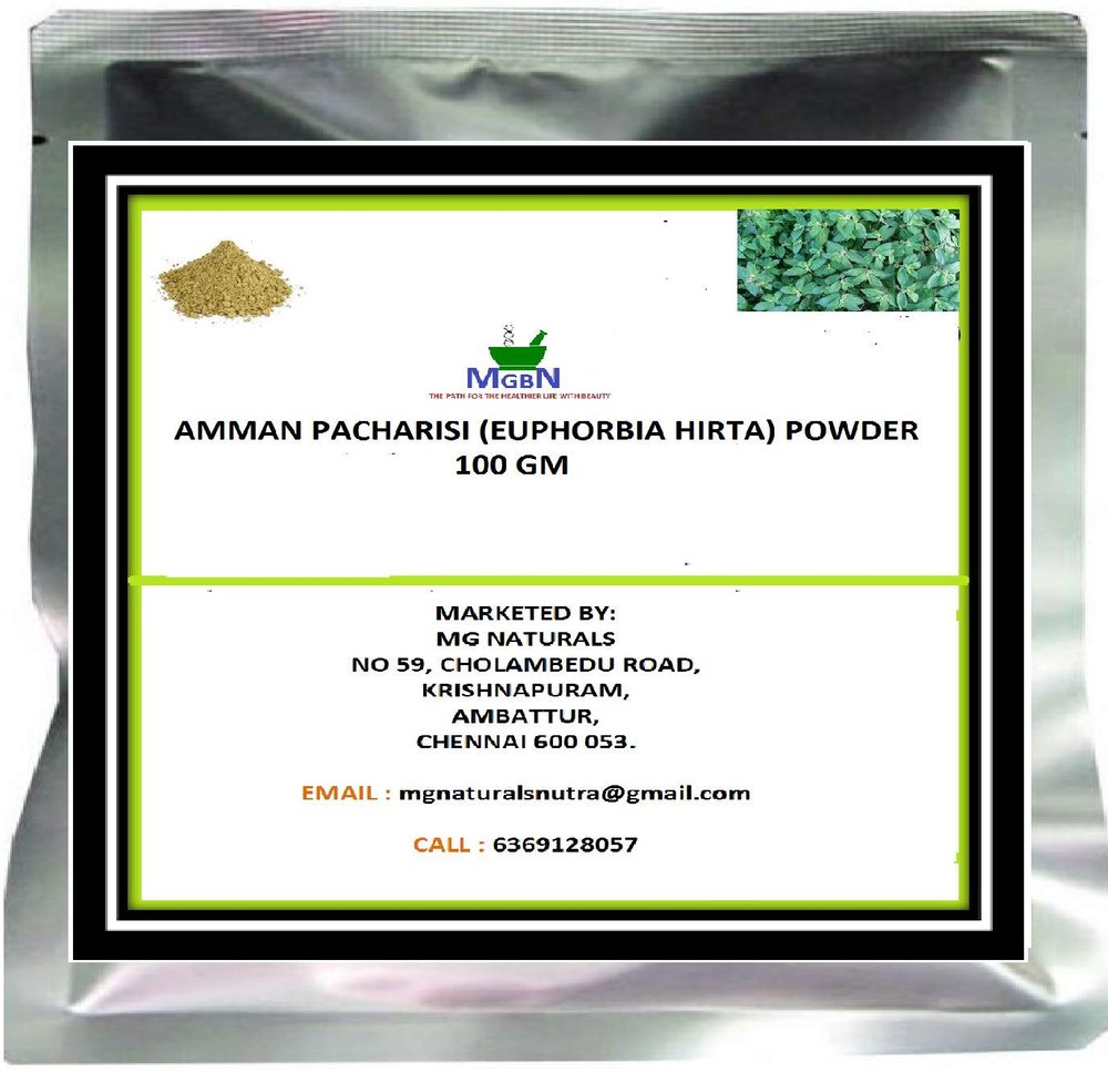 AMMAN PACHARISI (EUPHORBIA HIRTA) POWDER-100 GM