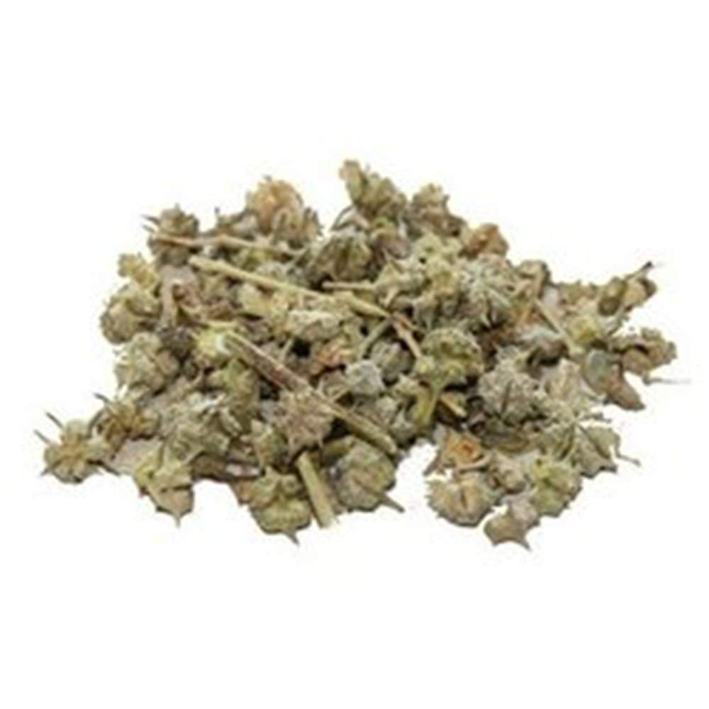 Kapebonavista Bara Gokhru Gokhura Kadva gokhru Gokhara Big Pedalium Murex Large Caltrops 100gram