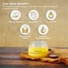 Indicow Organic Dairy A2 Cow Ghee | (2 Packs Of 1 Litre) | Bilona Ghee | Grass Fed Desi Cows | Kankrej Cows | 100% Pure And Chemical Free | Bilona Curd-Churned, Cruelty-Free, Ayurvedic view 3