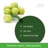 Jain Amla (Phyllanthus Emblica, Indian Gooseberry) Powder - 400g (Pack of 2) view 2