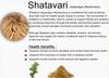 A D Food & Herbs Shatavari/Asparagus Racemosus Roots Powder (1 Kg) view 2
