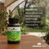 Nisarga Herbs, Neem (Immunity Booster & Anti-Inflammatory) & Curcuma Plus (Anti Oxidant & Anti Inflammatory), 100% Organic, Ayurvedic & Natural, 60 Capsules Each (Combo Pack) view 2