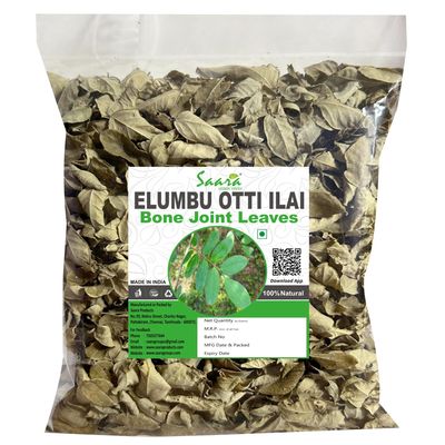 Saara Herbal FRESH Dry Elumbotti Ilai (Leaves), 60g, Elumbu Otti Ilai Leaf, Bone Joint Leaves, Murikootipacha, 60g