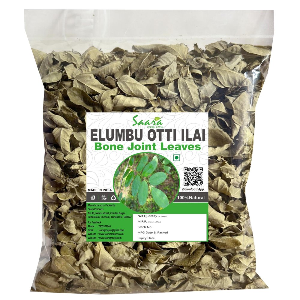 Saara Herbal FRESH Dry Elumbotti Ilai (Leaves), 60g, Elumbu Otti Ilai Leaf, Bone Joint Leaves, Murikootipacha, 60g