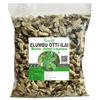 Saara Herbal FRESH Dry Elumbotti Ilai (Leaves), 60g, Elumbu Otti Ilai Leaf, Bone Joint Leaves, Murikootipacha, 60g view 1