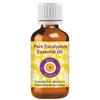 Deve Herbes Essential Oils Set of Six - Peppermint Eucalyptus Tea Tree LavenderLemon and Rosemary Essential Oils Steam Distilled view 4