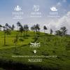 ANDEES Nilgiri Tea with Royal Pack (100 gm) view 3