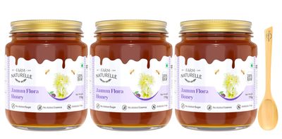 Farm Naturelle-Jamun Flower Wild Forest (Jungle) Honey/100% Pure/Raw/Natural/Un-Processed/Un-Heated/Lab Tested/Glass Bottle-(700gm+75gm Extra+Wooden Spoons.) x 3 Sets.