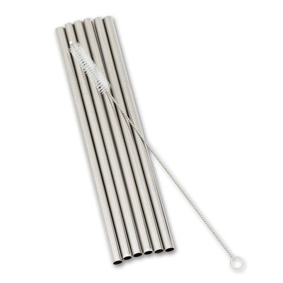 Abbott Collection 27-ECOSTRAW-06-SIL 6 Straight Wide Straws&Brush-SIL-8" l, Silver