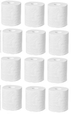 BIP Toilet Tissue Paper (2 Ply) 12 Rolls in 1 Pack (Super Saver), 3000 Sheets
