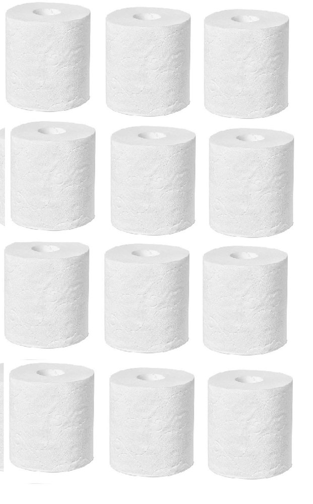 BIP Toilet Tissue Paper (2 Ply) 12 Rolls in 1 Pack (Super Saver), 3000 Sheets